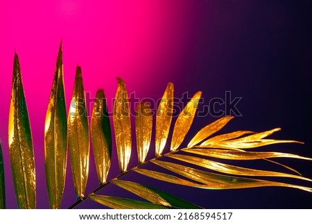 Glow. Closeup golden tropical palm leaf over pink-purple background in neon light. Concept of floristry, decorations, creativity, decor and ad