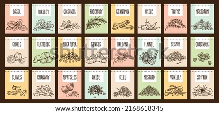 Vector set of stickers for spices.  basil, parsley, coriander, rosemary, cinnamon, chili, pepper, thyme, turmeric, black pepper, ginger, oregano, cumin, poppy, anise, garlic, dill, mustard, saffron Royalty-Free Stock Photo #2168618345