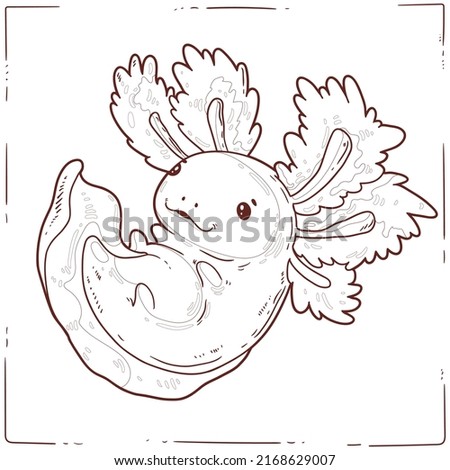 Axolotl, a Coloring Sheet. Cartoon outline picture of playful baby axolotl. A colouring book page. Contour illustration for children preschool education. Interesting home activity for kids