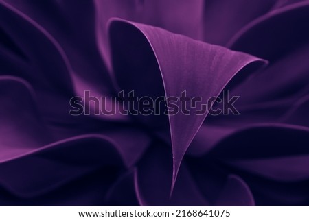 intense blue and violet tropical plant glowing neon. exquisite leaves close up, abstract nature background, dark blue and purple toned. Leaf details. Future, exotic, trendy concept. daring color. lush Royalty-Free Stock Photo #2168641075
