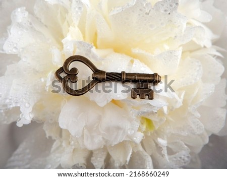 image of key flower background