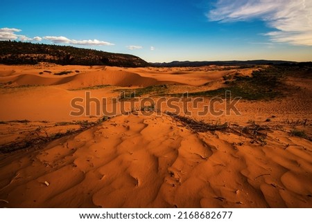 Panorama view of Coral Pink Sand Dunes in Kanab, UT. USA.  The dunes are created by erosion of Navajo sandstone cliffs in the nearby area.