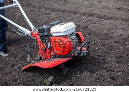 Red cultivator cultivates a vegetable garden for planting vegetables and potatoes. tractor motoblock works in the field at sunset. cultivates the soil. Royalty-Free Stock Photo #2168721323