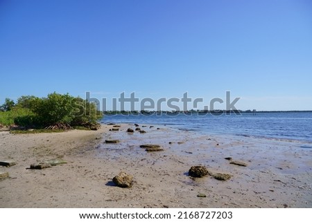 Emerson point preserve: The Manatee River meets the Tampa Bay 