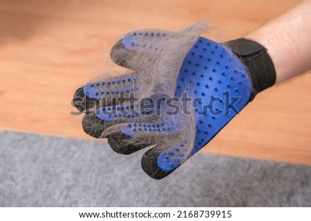 A man combs the cat's fur with a special glove and comb. Royalty-Free Stock Photo #2168739915