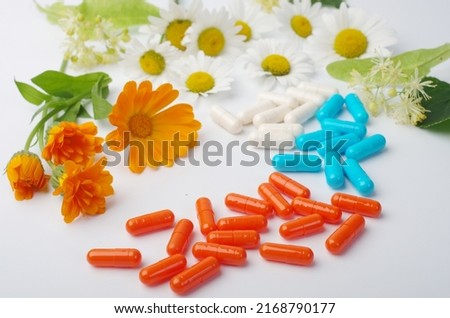 Colored medical pills and medicinal plants on white.