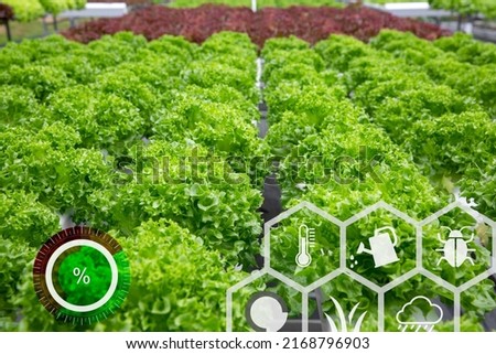 Farmer using computer control for management , monitoring and detect with the sensor in the vegetable farm.