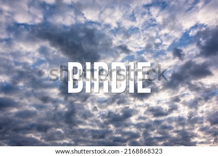 BIRDIE - word on the background of the sky with clouds.