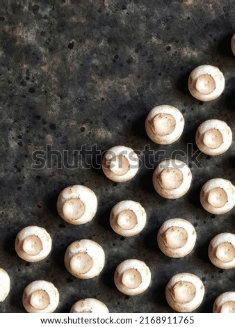 Champignons background. Mushrooms pattern on black concrete background with copy space. Vegetables that replace meat.