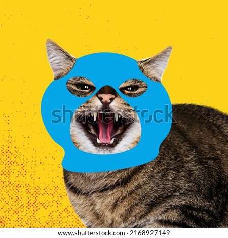 Looks annoyed, angry. Creative portrait of cute cat wearing drawn balaclava isolated on bright neon background. Inspirative art, pets, animal, humor and fashion concept. Contemporary art collage Royalty-Free Stock Photo #2168927149