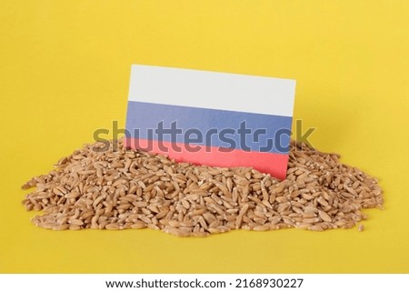 flag of russia and wheat scattered on a yellow background. Concept harvest, export, import