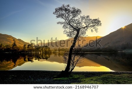 A lonely tree by the lake at dawn. Lake shoreline background reflection. Mountain lake at dawn. Beautiful sunrise over lake reflection Royalty-Free Stock Photo #2168946707