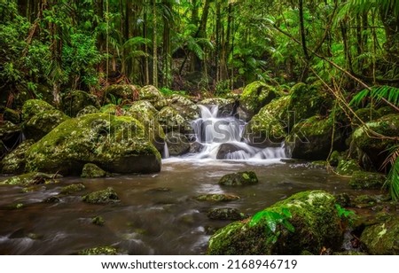 Waterfall stream in mossy forest. Forest waterfall stream. Waterfall stream flowing on mossy stones. Rainforest waterfall stream Royalty-Free Stock Photo #2168946719