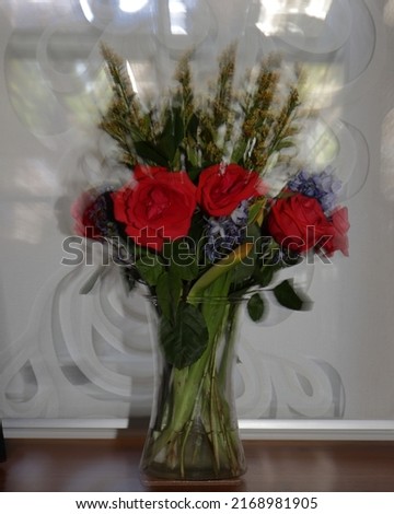 Roses in a vase, image is zoomed to create the effect of a shimmer around the flowers