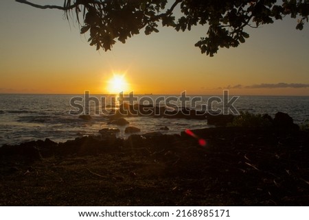 View from the seashore with lava rock and pandanus utilis tree in the foreground