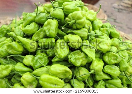 tasty and hot green chili peppers stock on shop for sell