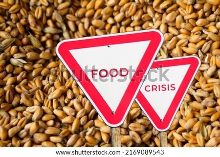 Food crisis concept. Two red road signs. Defocus blank empty triangle red warning road sign on blurred wheat background. Hunger problem. Human disaster. Cost bread. World crisis. Out of focus.