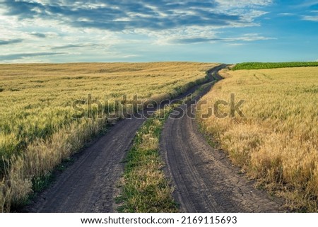 Beautiful nature sunset landscape. Dirt road between the fields on a country. valley countryside, Typical Moldovan landscape of a green agrarian country Republic of Moldova,  wheat field 
