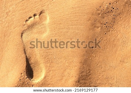 Footprint of a bare human foot in the sea sand in summer evening
