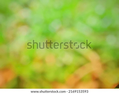 defocused abstract background of nature