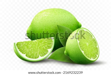 Fresh lime set, with various view of whole lime fruit, halves and slices, isolated on transparent background. Realistic 3d vector illustration Royalty-Free Stock Photo #2169232239
