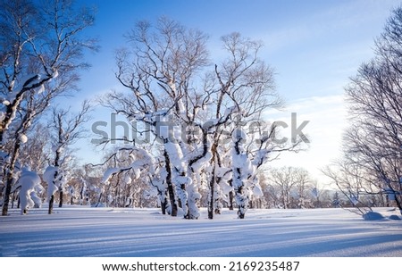 Snowy landscape in the winter forest. Winter snow scene. Snowy forest trees. Winter snow nature landscape Royalty-Free Stock Photo #2169235487