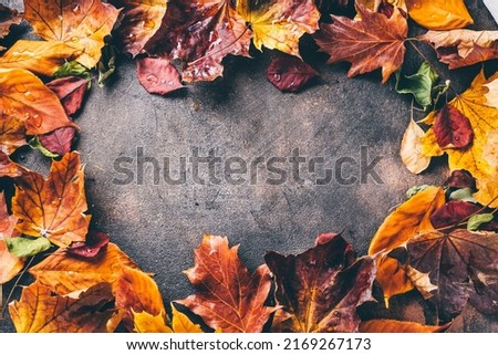 Autumn background with bright orange and red leaves with copy space. Top view. Nature background