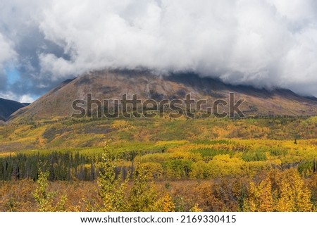 The remarkable, stunning, autumn, fall landscape of Yukon Territory in Northern Canada. Highway, road trip shot with mountain views.