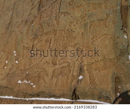 Ancient rock art. Carved drawings of people and animals are visible on the weathered stone, sprinkled with snow. A primitive hunting scene. Altai. Kalbak Tash