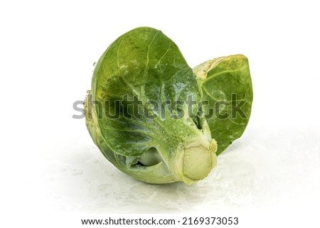 Brussels Sprout isolated in white background, studio lighting, macro detailing, ample copy space  negative space for copy. 