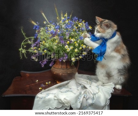 Adorable cat plays with a bouquet of wildflowers