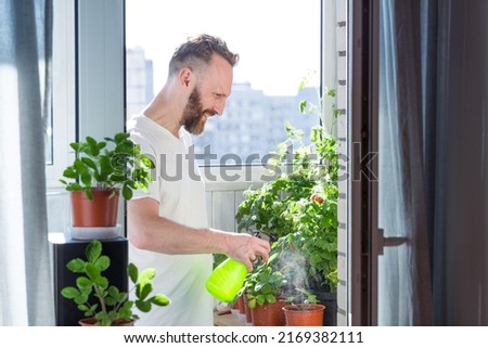 Mid adult man watering tomatoes on his city balcony garden - Nature and ecology hobby theme Royalty-Free Stock Photo #2169382111