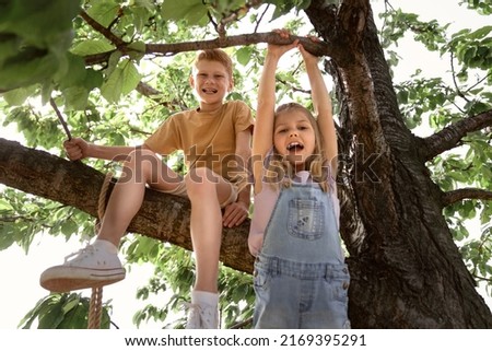 Portrait of kids climbing at the tree in summer day  Royalty-Free Stock Photo #2169395291