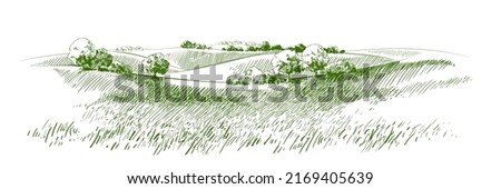 Green grass field on small hills. Meadow, alkali, lye, grassland, pommel, lea, pasturage, farm. Rural scenery landscape panorama of countryside pastures. Vector sketch illustration Royalty-Free Stock Photo #2169405639