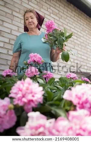 Caucasian adult woman caring for flowers, picking a bouquet in the garden