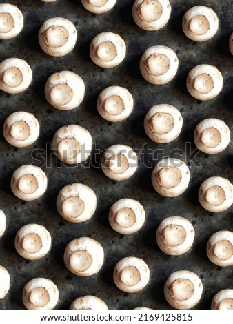 Champignons background. Mushrooms pattern on black concrete background. Vegetables that replace meat.