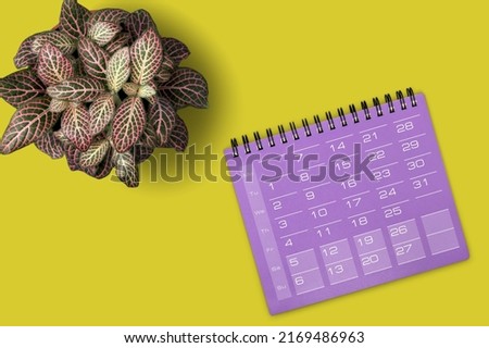 Desktop calendar on a yellow desk background