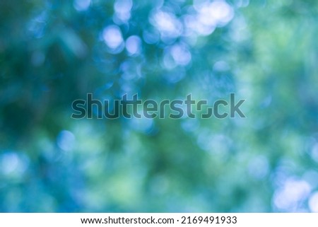 Pastel bokeh from sunlight through blue leaves in the morning. For backgrounds, abstracts or wallpapers