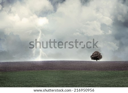 A background of a natural landscape in a gloomy day