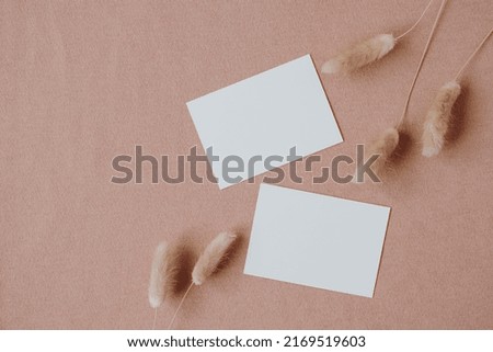 Blank paper card with mockup copy space, elegant dried rabbit tail grass stalk on coral background. Top view, flat lay minimalist aesthetic bohemian brand template
