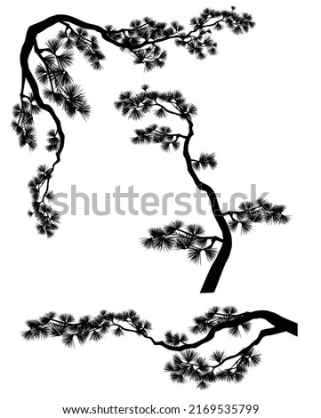long elegant asian style pine branches forming frame corner and borders - black and white conifer tree vector silhouette set