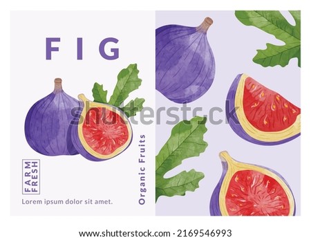 Fig packaging design templates, watercolour style vector illustration. Royalty-Free Stock Photo #2169546993