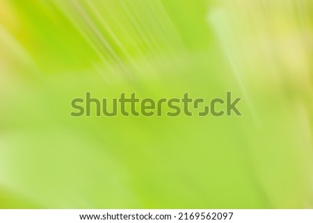 Green abstract background. Green trendy out of focus effect.