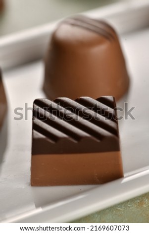 Different shaped chocolates on the isolated white plate. Selectively focused on the chocolate. Delicious picture of the chocolate. Chocolate concept. 