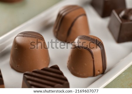 Different shaped chocolates on the isolated white plate. Selectively focused on the chocolate. Delicious picture of the chocolate. Chocolate concept. 