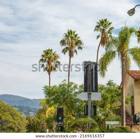 Palm trees in Santa Barbara under a cloudy sky. California, USA
