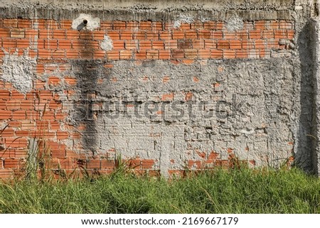 Wall mute with plaster and some exposed bricks, with signs of time, highlighting its texture and at its base a green bush.
