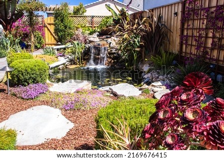 Colorful flowers in a backyard with a koi pond