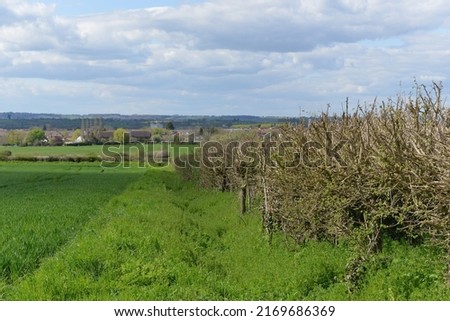 Scenic view of a lush green field and hedgerow  Royalty-Free Stock Photo #2169686369