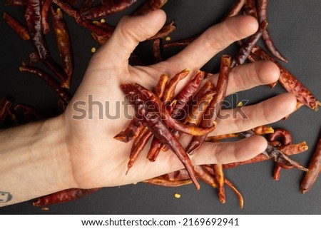 Hand holding red chili. High quality photo
